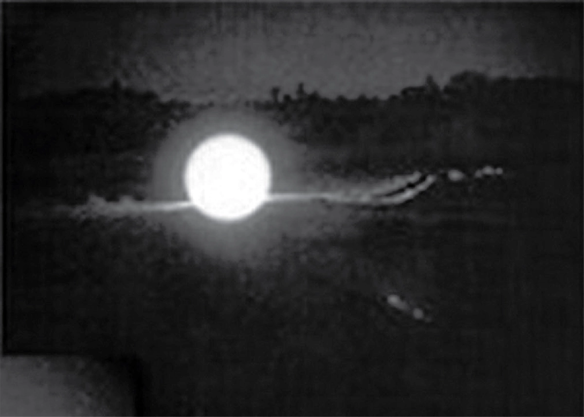 Supplementary Image