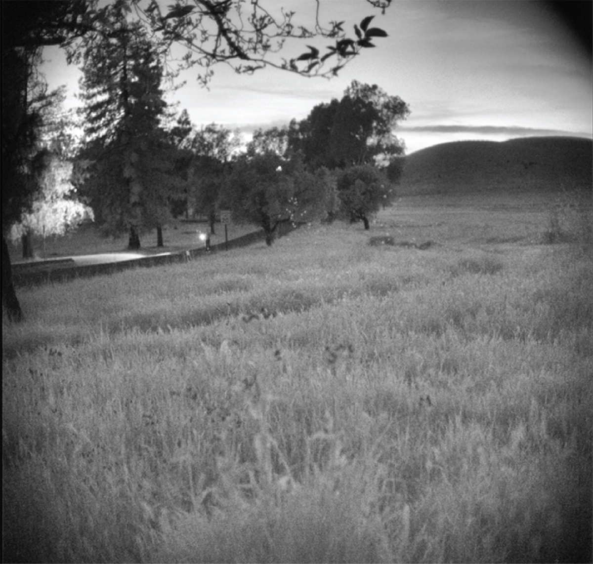 High Dynamic Range Imagery (Vignetting from the Lens)